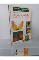 AGAPORNIS (LOS INSEPARABLES)