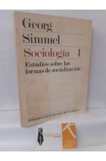 SOCIOLOGÍA 1. ESTUDIOS SOBRE LAS FORMAS DE SOCIALIZACIÓN