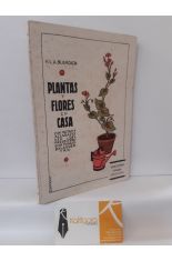 PLANTAS Y FLORES EN CASA