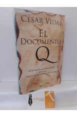 EL DOCUMENTO Q