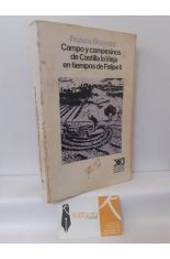 CAMPO Y CAMPESINOS DE CASTILLA LA VIEJA EN TIEMPOS DE FELIPE II
