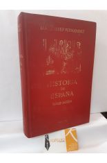 HISTORIA DE ESPAÑA. EDAD MEDIA
