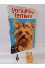 YORKSHIRE TERRIERS