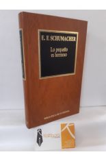LO PEQUEÑO ES HERMOSO
