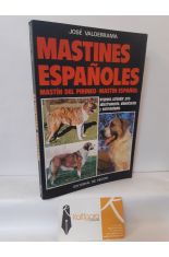 MASTINES ESPAOLES. MASTN DEL PIRINEO. MASTN ESPAOL