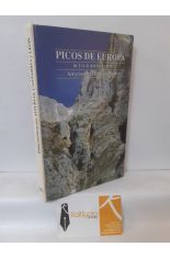 PICOS DE EUROPA. RUTAS TURSTICAS POR ASTURIAS, CANTABRIA Y LEN