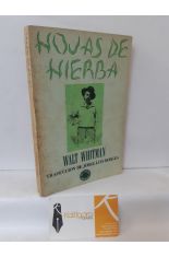 HOJAS DE HIERBA