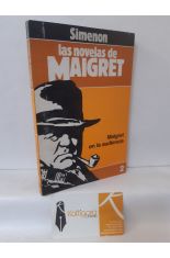 MAIGRET EN LA AUDIENCIA