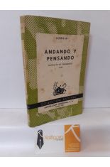 ANDANDO Y PENSANDO (NOTAS DE UN TRANSENTE) 1929