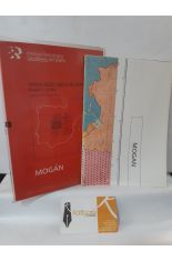 MOGN. MAPA GEOLGICO DE ESPAA 1113-I