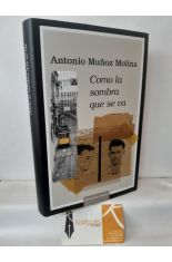 COMO LA SOMBRA QUE SE VA