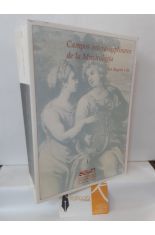 CAMPOS INTERDISCIPLINARES DE LA MUSICOLOGA. VOLUMEN I