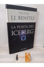 LA PUNTA DEL ICEBERG