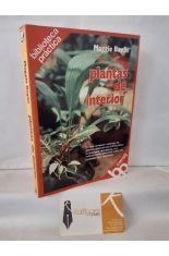 PLANTAS DE INTERIOR