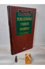 TEORA ECONMICA Y PASES EN DESARROLLO