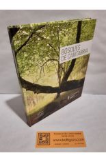 PUBLICACIONES DEL INSTITUTO DE ETNOGRAFA Y FOLKLORE HOYOS SINZ VOL. XIII
