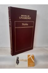 NIEBLA