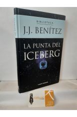 LA PUNTA DEL ICEBERG