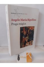 PRAGA MGICA