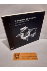 EL DESPERTAR DE LA MATERIA. AALTO, EISENSTEIN Y PROUST