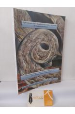 APLICACIONES DE LA LINGSTICA DE CORPUS AL ESTUDIO DE LAS LENGUAS CASTELLANAS