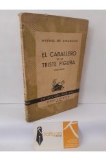 EL CABALLERO DE LA TRISTE FIGURA