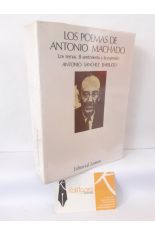 LOS POEMAS DE ANTONIO MACHADO. LOS TEMAS. EL SENTIMIENTO Y LA EXPRESI�N