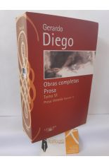 OBRAS COMPLETAS VI. PROSA LITERARIA VOLUMEN 1
