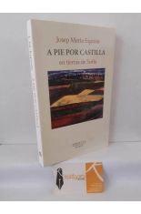 A PIE POR CASTILLA EN TIERRAS DE SORIA