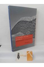 LEYENDO EN LAS PIEDRAS