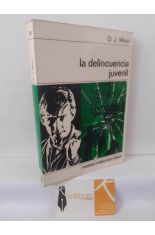LA DELINCUENCIA JUVENIL