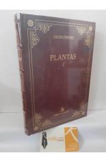 PLANTAS I