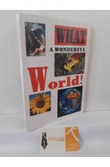 WHAT A WONDERFUL WORLD! LA CONTAMINACI�N CONSIDERADA COMO UNA DE LAS BELLAS ARTES