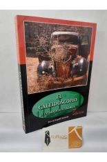 EL CALEIDOSCOPIO. EL �LTIMO CICLO ECON�MICO