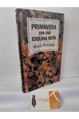 PRIMAVERA CON UNA ESQUINA ROTA