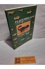 FLAVIOBRIGA, CASTRO URDIALES ROMANO. ARQUEOLOG�A DE INTERVENCI�N (1991-1994)