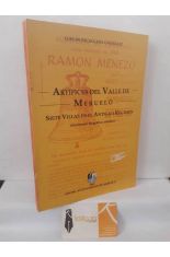 ART�FICES DEL VALLE DE MERUELO. SIETE VILLAS EN EL ANTIGUO R�GIMEN (DICCIONARIO BIOGR�FICO-ART�STICO)