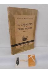 EL CABALLERO DE LA TRISTE FIGURA
