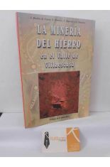LA MINER�A DEL HIERRO EN EL VALLE DE VILLAESCUSA