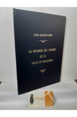 LA MATANZA DEL COCHINO EN EL VALLE DE POLACIONES