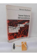 BREVE HISTORIA DEL SOCIALISMO