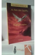 EL AIRE DEL ESPRITU. MEDITACIONES BBLICAS