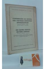 CONTRIBUIAO AO ESTUDO DAS PINTURAS RUPESTRES EPIPALEOLTICAS - UM CASTRO CLTICO EM PEA CASTILLO