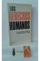 LOS DERECHOS HUMANOS. DECLARACIONES Y CONVENIOS INTERNACIONALES