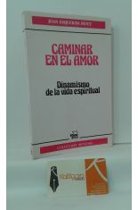 CAMINAR EN EL AMOR, DINAMISMO DE LA VIDA ESPIRITUAL