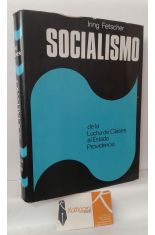 SOCIALISMO, DE LA LUCHA DE CLASES AL ESTADO PROVIDENCIA