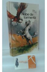 NUBE DE TORMENTA