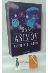 VISIONES DE ROBOT