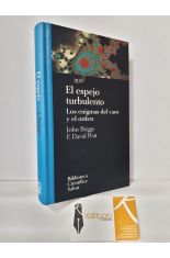 EL ESPEJO TURBULENTO. LOS ENIGMAS DEL CAOS Y EL ORDEN
