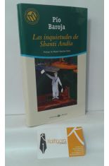 LAS INQUIETUDES DE SHANTI ANDÍA